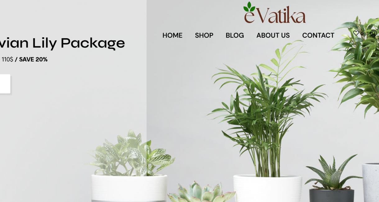 EVatika.com – For ecommerce EVatika.com - For ecommerce